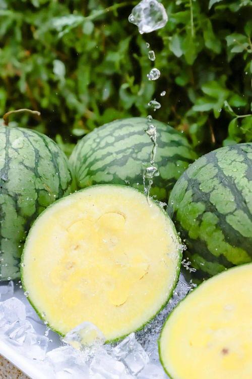 热点黑料 吃瓜网51官网版,热点黑料背后的真相大起底